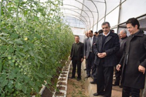 EL-Magraby goes in a tour to inspect the exams, the fish farms and the greenhouse in the faculties of agriculture and veterinary medicine