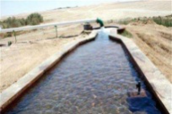 A study conducted about the assessment and the usage of the underground water at EL-Beda valley in EL-Ein EL-Shohkna